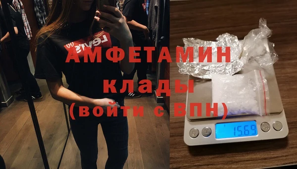 гидра Липки