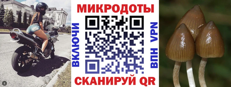 Галлюциногенные грибы мицелий купить закладку Княгинино