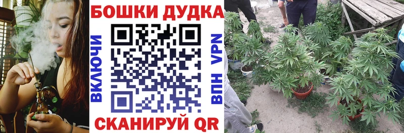 где купить наркоту  Княгинино  Конопля OG Kush 